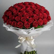 Букет 101 Красная роза Блэк Мэджик в Тавричанка