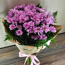 Букет цветов из:  Хризантемы #REPLACE_PRED# Тавричанка