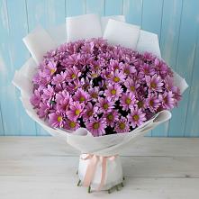 Букет цветов из:  Хризантемы #REPLACE_PRED# Тавричанка