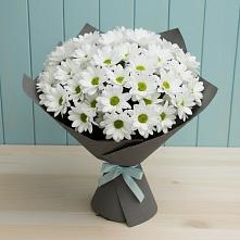 Букет цветов из:  Хризантемы в Тавричанка
