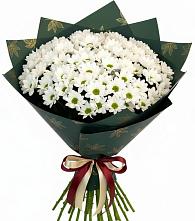 Букет цветов из:  Хризантемы #REPLACE_PRED# Тавричанка