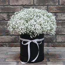 Цветочная композиция из Гипсофила в шляпной коробке в Тавричанка