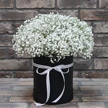 Цветочная композиция из Гипсофила в шляпной коробке в Тавричанка