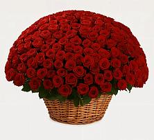 Премиум букет из: Розы в Тавричанка