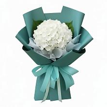 Букет цветов из:  Гортензия в Тавричанка